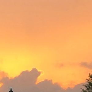 Meet your Posher, Monique